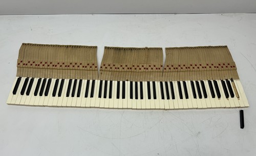 Set tasti pianoforte - 88,