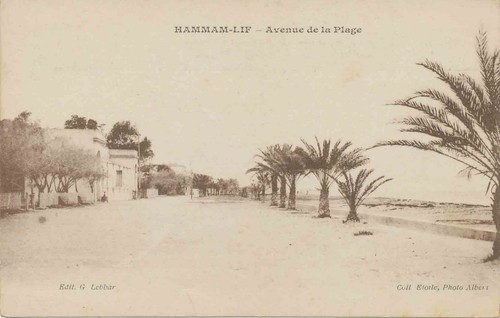 Tunisia 1910 superb mint - tunisia,,