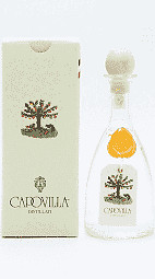 Bott distillato d uva - distillato, d'uva