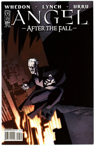 Angel after the fall - after,