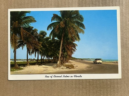 Cartolina key west florida - west, fl