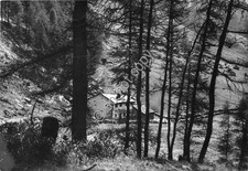 Cartolina - Ponte di Legno
