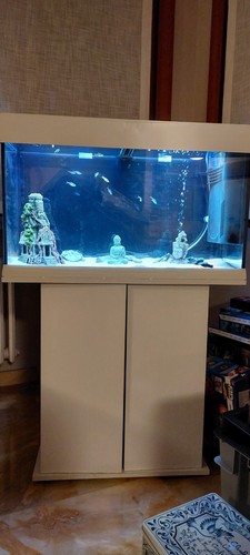 Acquario dubai mobile di - +,
