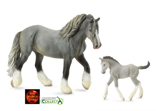 Grey shire mare - mare, horse