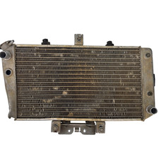 Radiatore Polaris Predator 500