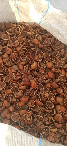Biomassa gusci nocciola - gusci,