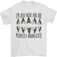 Squalo Denti Fossils Megalodon