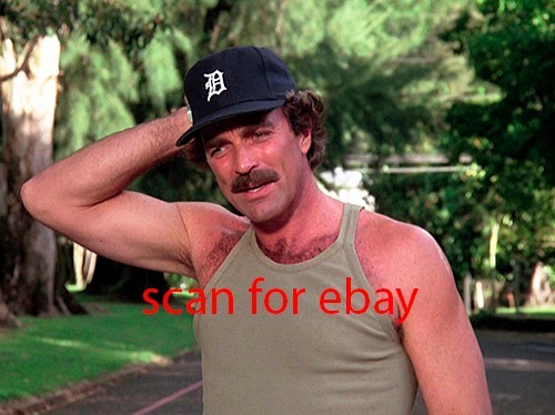 Magnum tom selleck foto - tom,