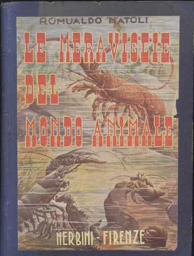 Meraviglie del mondo - del,