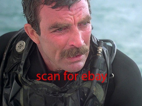 Magnum tom selleck foto - pi,