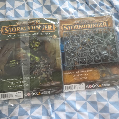 Warhammer swampboss skumdrekk - warhammer,