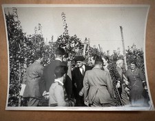 LUIGI EINAUDI - Foto originale