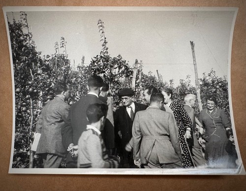 Luigi einaudi foto - einaudi, originale