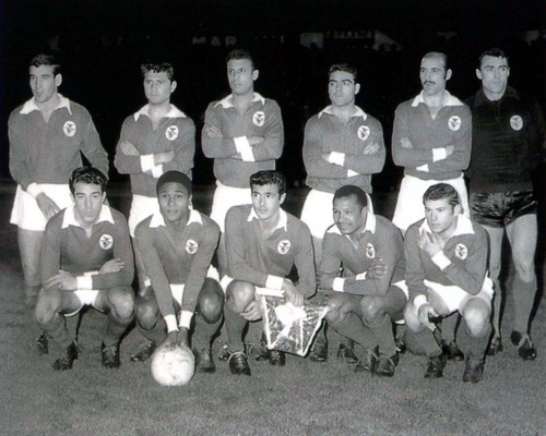 Benfica campioni di - di, coppa