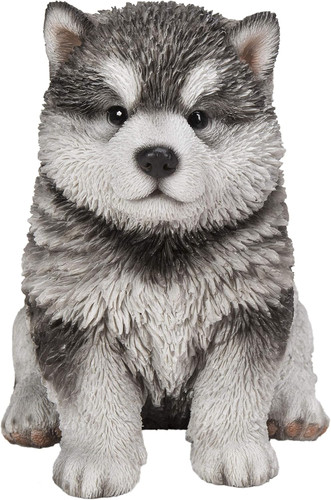 Regalo statua cucciolo - regalo,