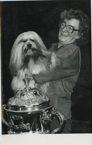 Jean blyth hank lhasa apso - jean,