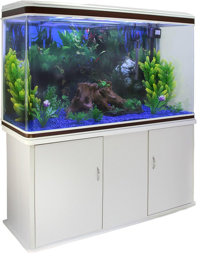 Acquario 300 litri - acquario,