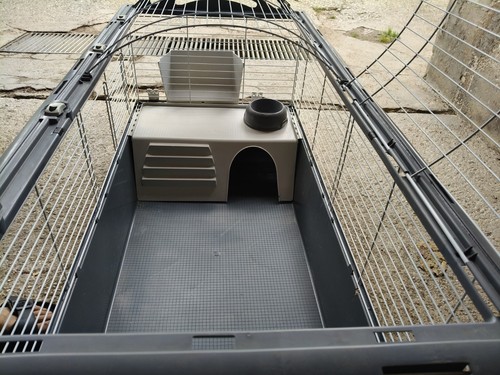 Gabbia per coniglio nano - gabbia,