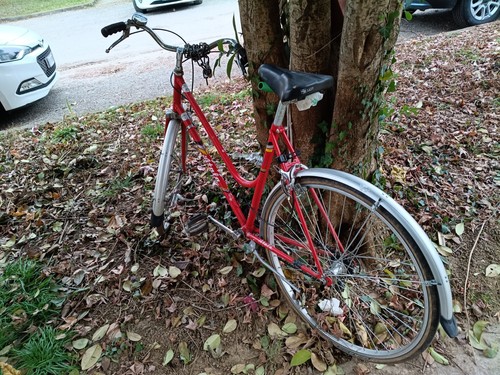 Bicicletta usata donna - bicicletta,