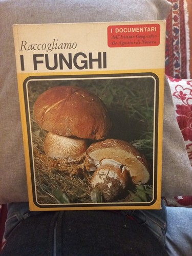 Raccogliamo funghi i - -,