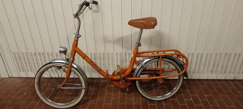Graziella carnielli - graziella,