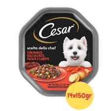 Cesar UMIDO Cani Ricetta