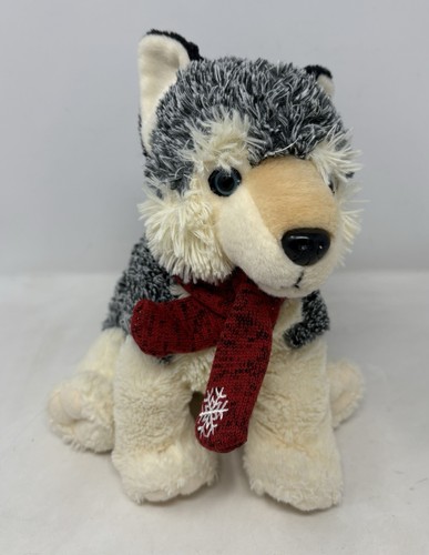 Chiglia husky cane - husky,