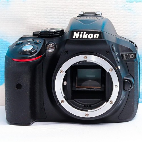 Nikon d5300 117670 - nikon,