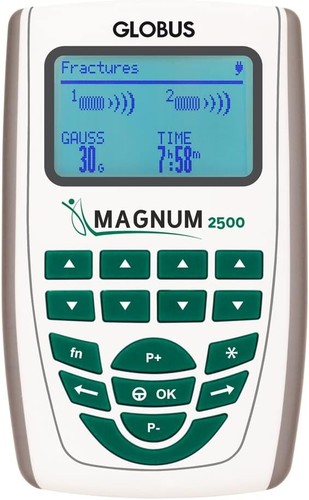 Mappamondo magnum 2500 - mappamondo,