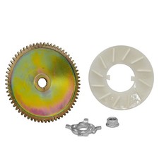 Semipuleggia Motrice Dentata