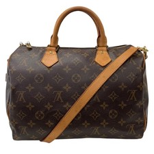 Louis Vuitton Monogram Speedy