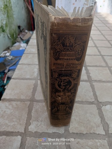 1845 ercole marenesi - ercole, guerin