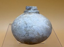 Raro ammortizzatore a tubo