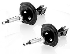 Coppia Ammortizzatori a Gas