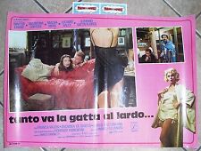 locandina film - TANTO VA LA GATTA AL LARDO... - (47X67,5)