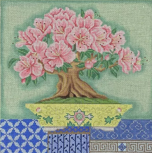 Bonsai azalea tessuto - in,