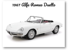 Calamita frigo cassetta