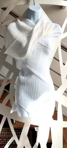 Miyake pleats please - pleats,