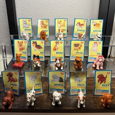 Cucciolo nella mia tasca