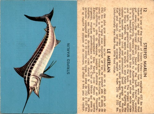V339 parkhurst fish - fish,, 1962