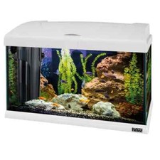 Acquario ferplast cayman - acquario, 50