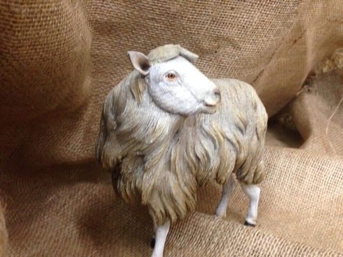 Pecora animale presepe