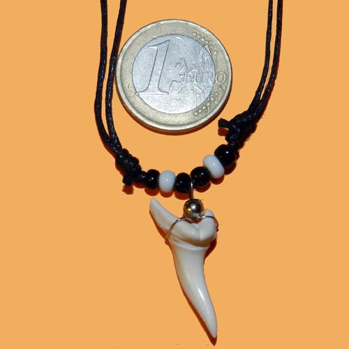 Collana dente squalo pescecani - collana,