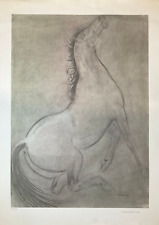 FRANCESCO MESSINA (1900-1995) LITOGRAFIA FOTOLITOGRAFIA OPERA FIRMATA CAVALLO