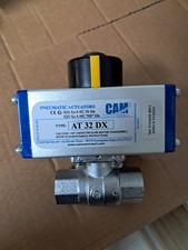 Attuatore Pneumatico CAM