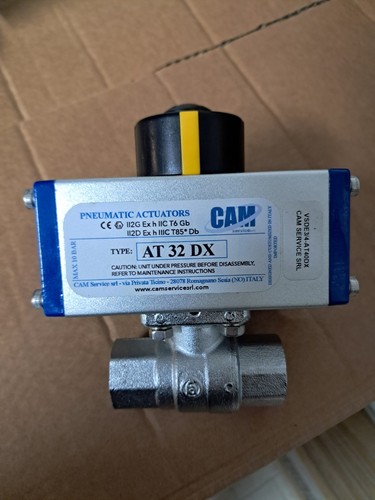 Attuatore pneumatico cam - attuatore,