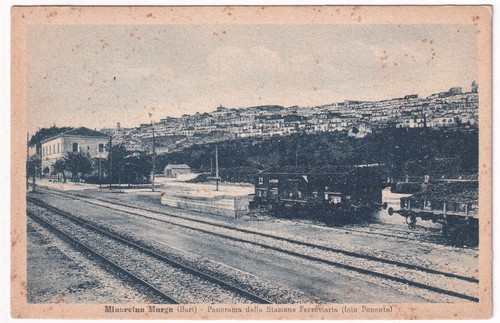 P01516 cartolina minervino - -,