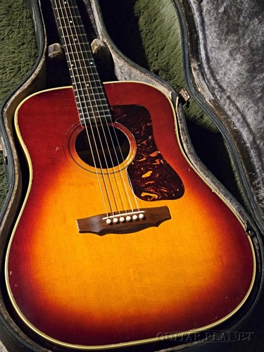 Guild 1971 bluegrass - 1971,