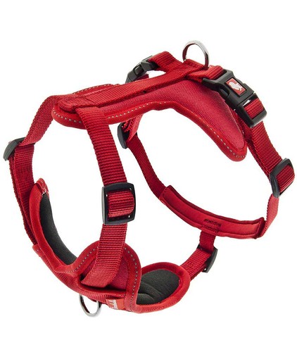 Pettorina regolabile nylon - in,