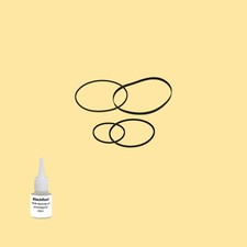 Cinghia Olio = Kit 5 per